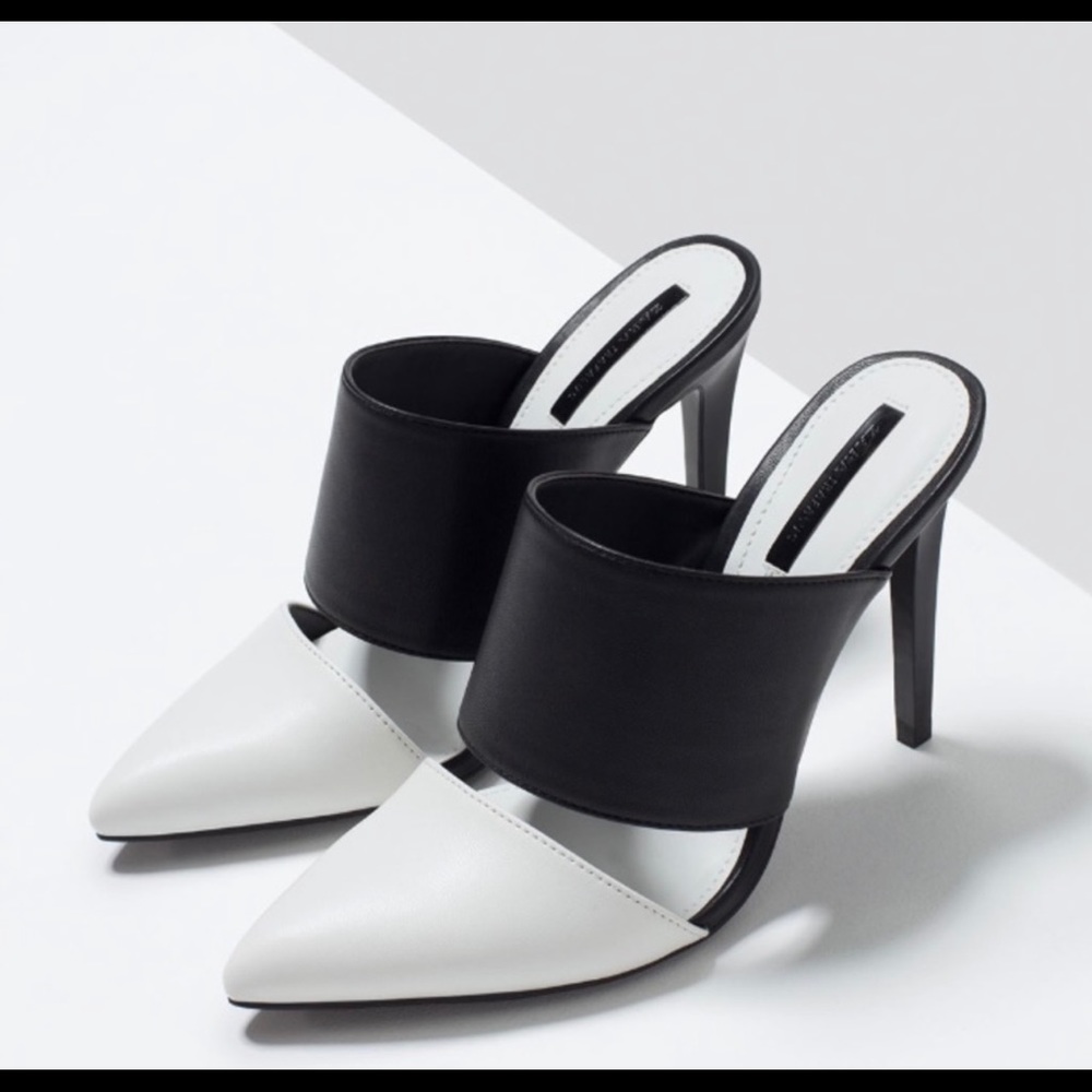 Zara Mules. Never worn